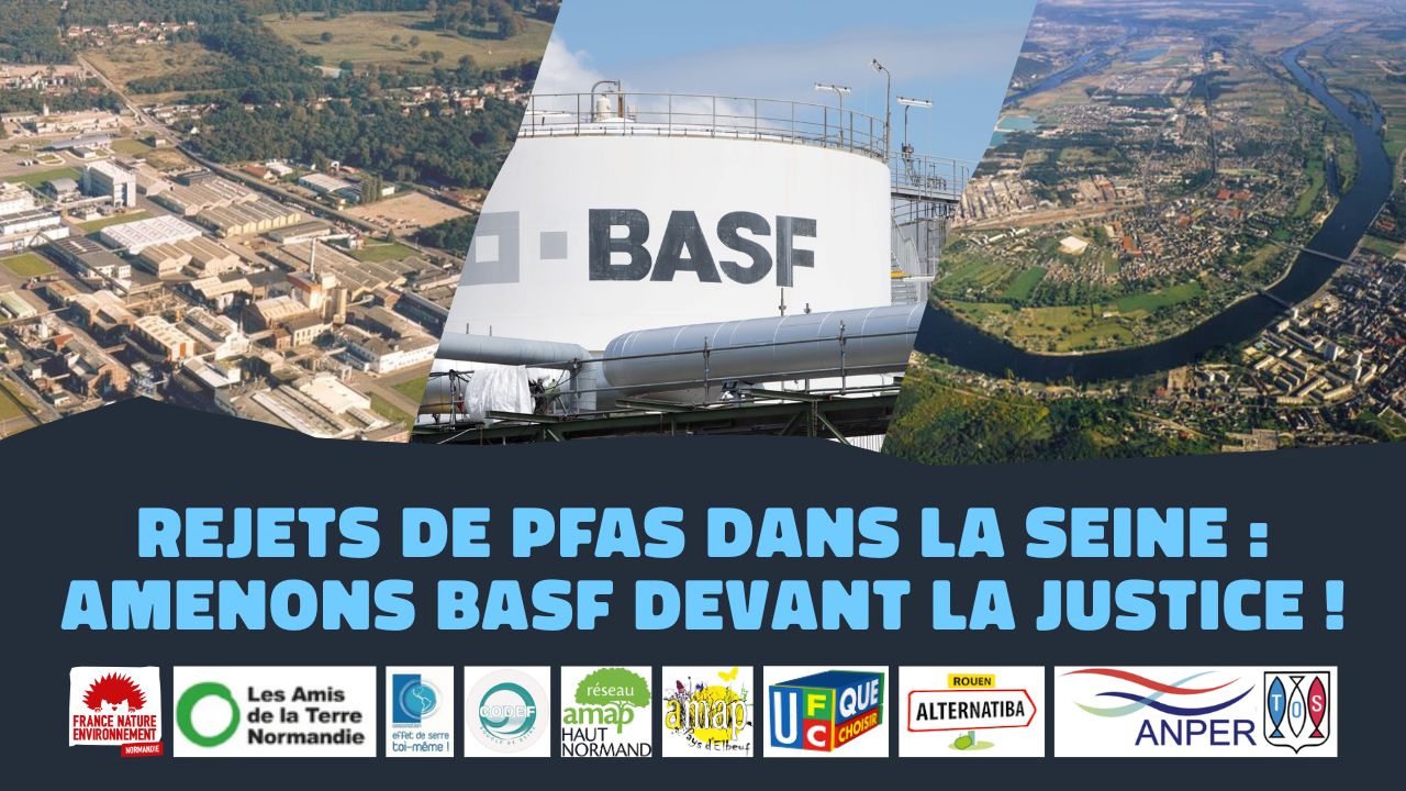 Cf Basf Vignette Ha