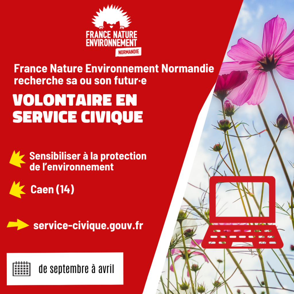 Carré Offre Sc 2026